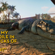 Illustration for article titled iPlanet Zoo/i, As Told By Steam Reviews